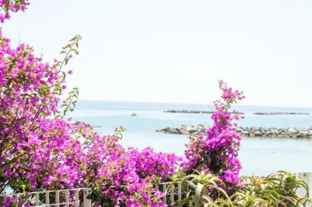Casa Vacanza Rossella Sanremo Exterior photo