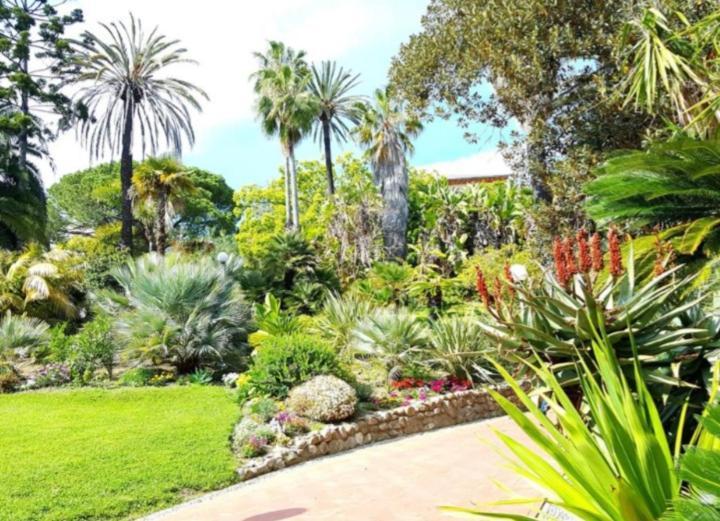 Casa Vacanza Rossella Sanremo Exterior photo